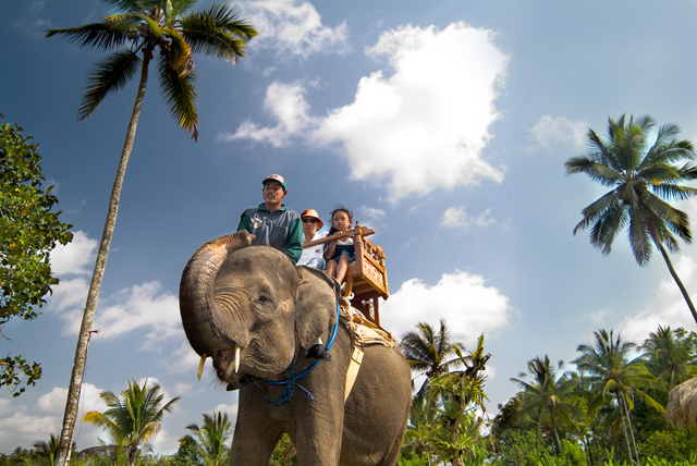 アユタヤ遺跡 タイと言えば象乗り体験 ゾウ乗り 名鉄観光 旅pad 世界の旅ブログ 海外旅行 国内旅行に関する情報をお届けします